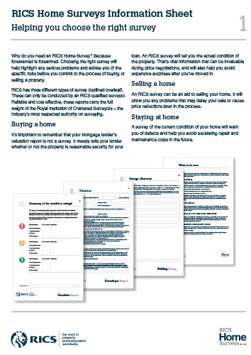 RICS Information Sheet